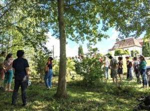 Il était une fée dans les jardins de Cinquantie