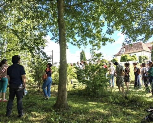 Il était une fée dans les jardins de Cinquantie