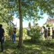 Il était une fée dans les jardins de Cinquantie