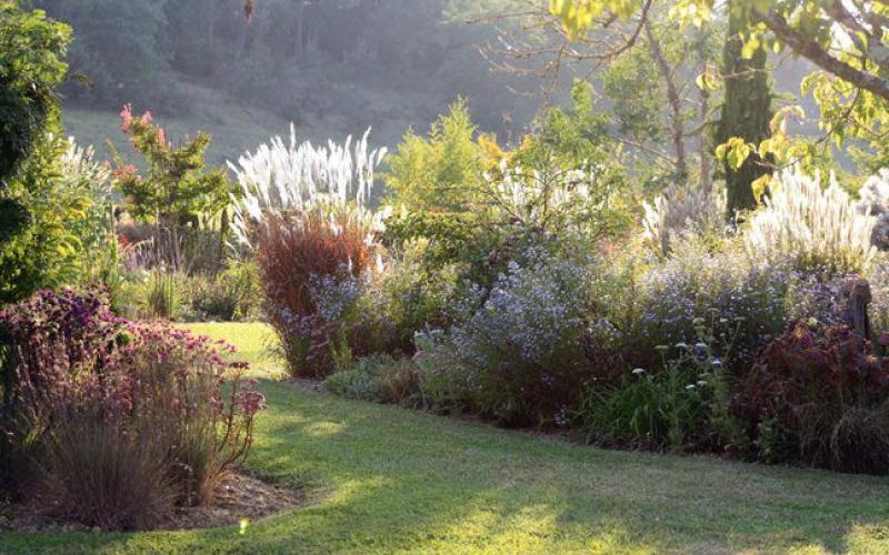 lumières d'automne au jardin d'Entéoulet